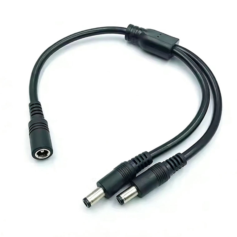 1PC DC 5.5mm*2.1mm 1 To 2 Conn - Led El Wire recensione e prezzo